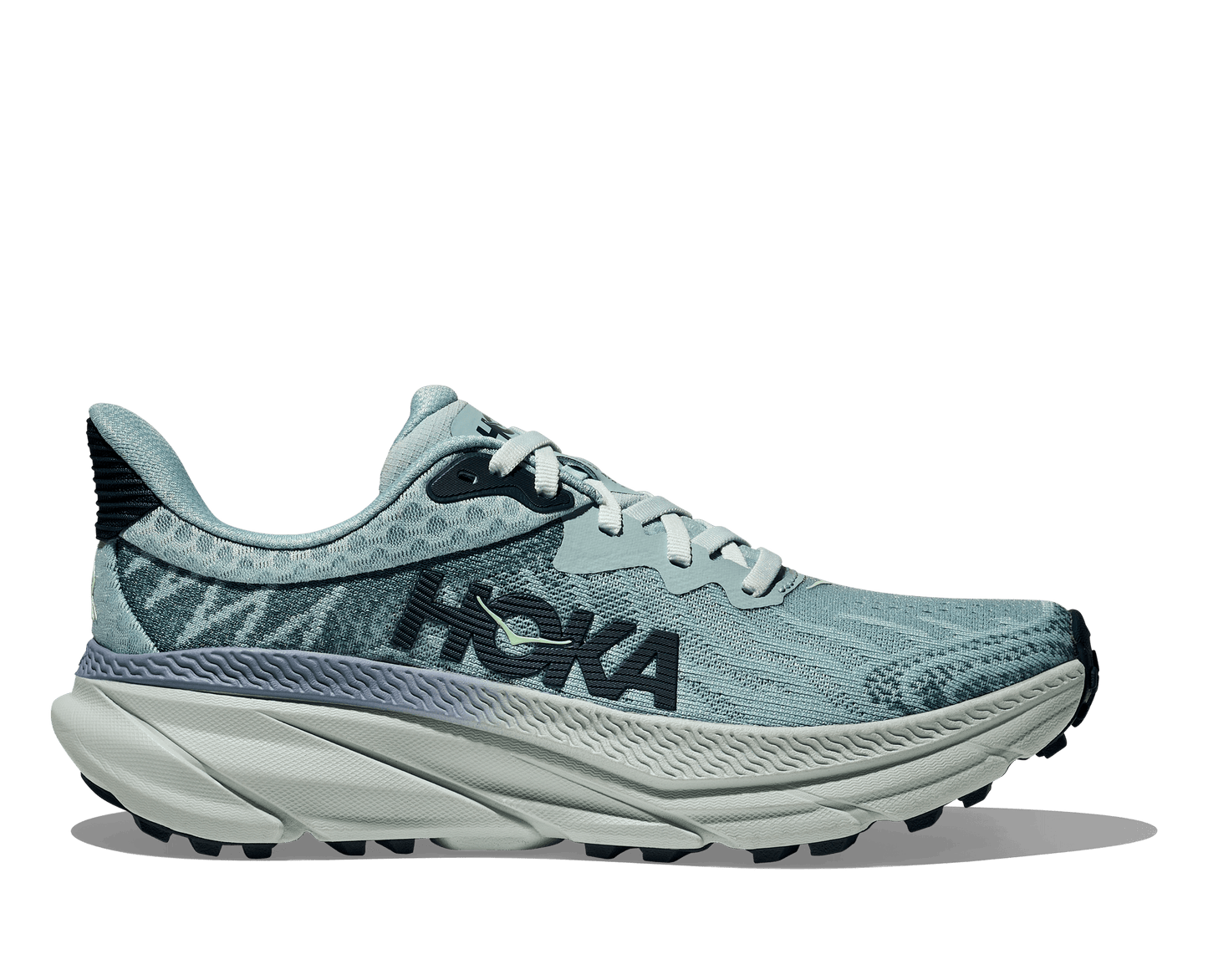 Hoka Challenger ATR 7 Women's Running Shoe - Bog Dog Running