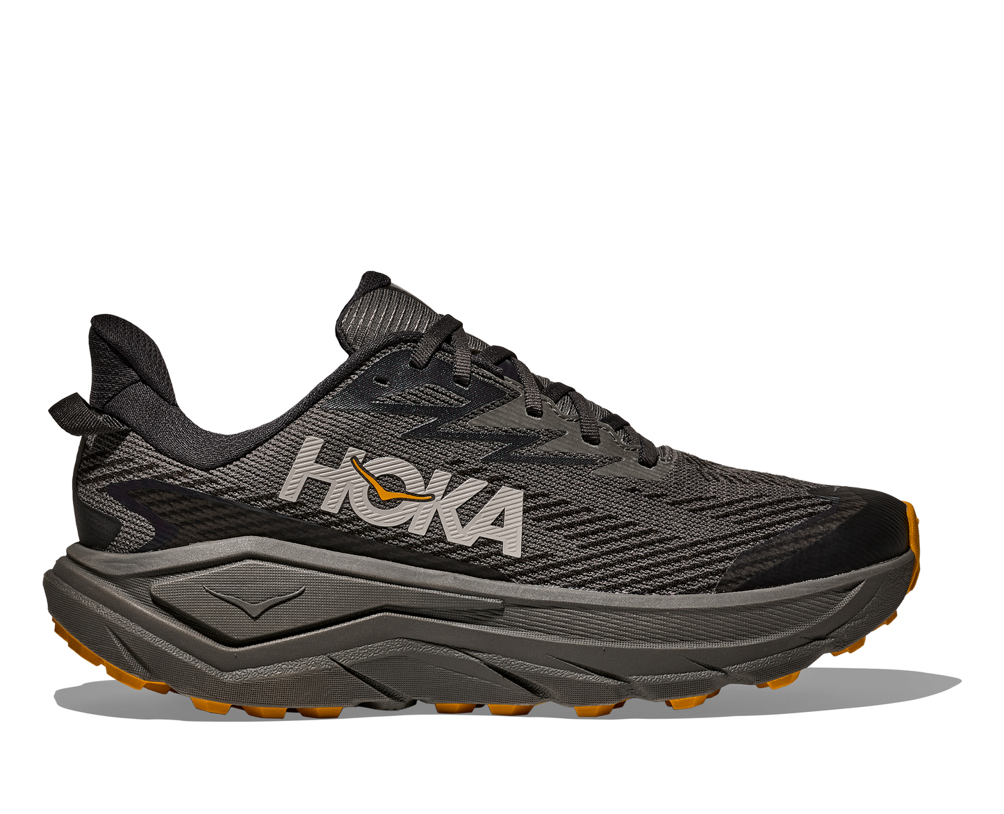 Hoka Challenger ATR 8 GTX Mens Trail Running Shoes - Bog Dog Running