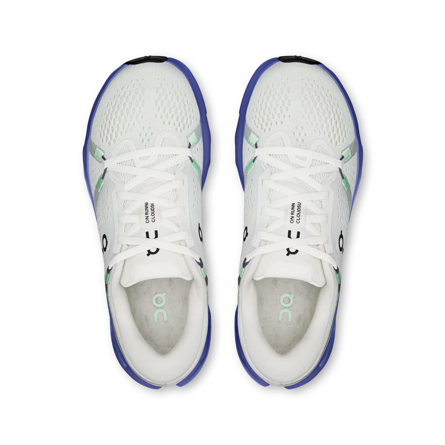 On Cloudsurfer 2 Women's Running Shoe - Bog Dog Running