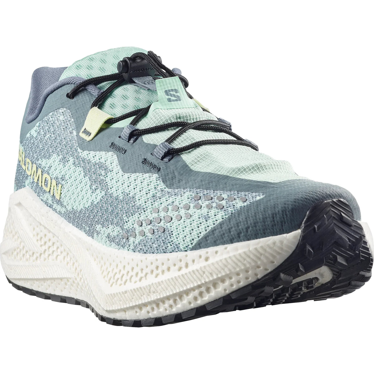 Salomon Aero Glide 4 GRVL Men's Running Shoe - Bog Dog Running