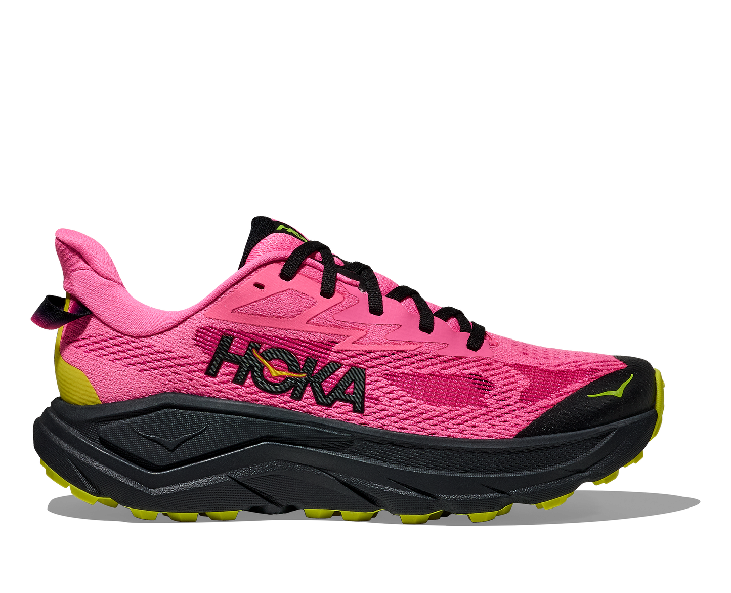 Hoka Challenger 8 Women's Running Shoe - Bog Dog Running