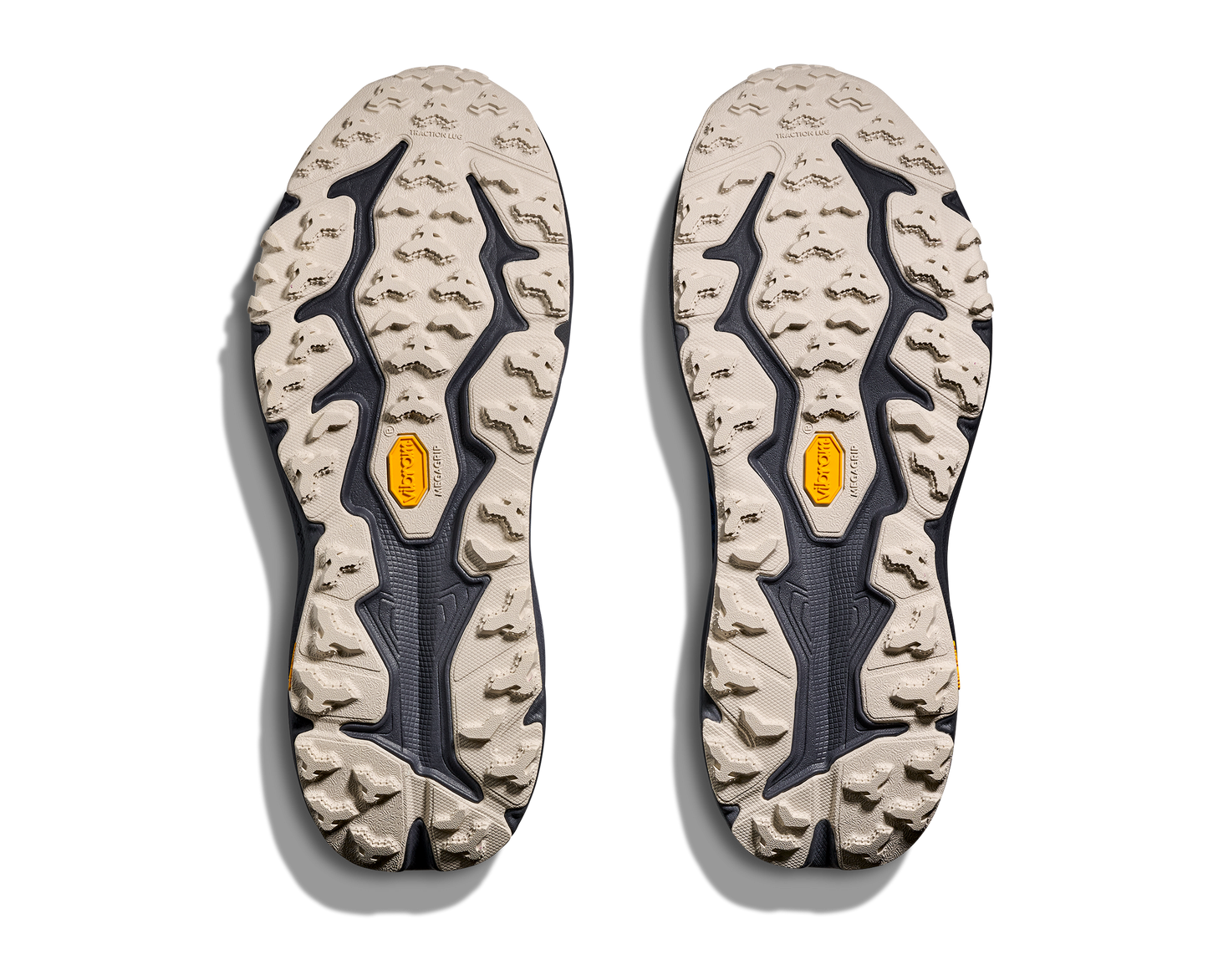 Hoka Speedgoat 6 GTX Men's Trail Running Shoe - Bog Dog Running