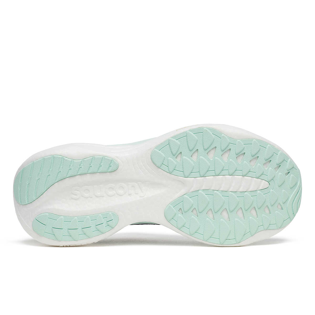 Saucony Ride 19 Women's Running Shoe - Bog Dog Running