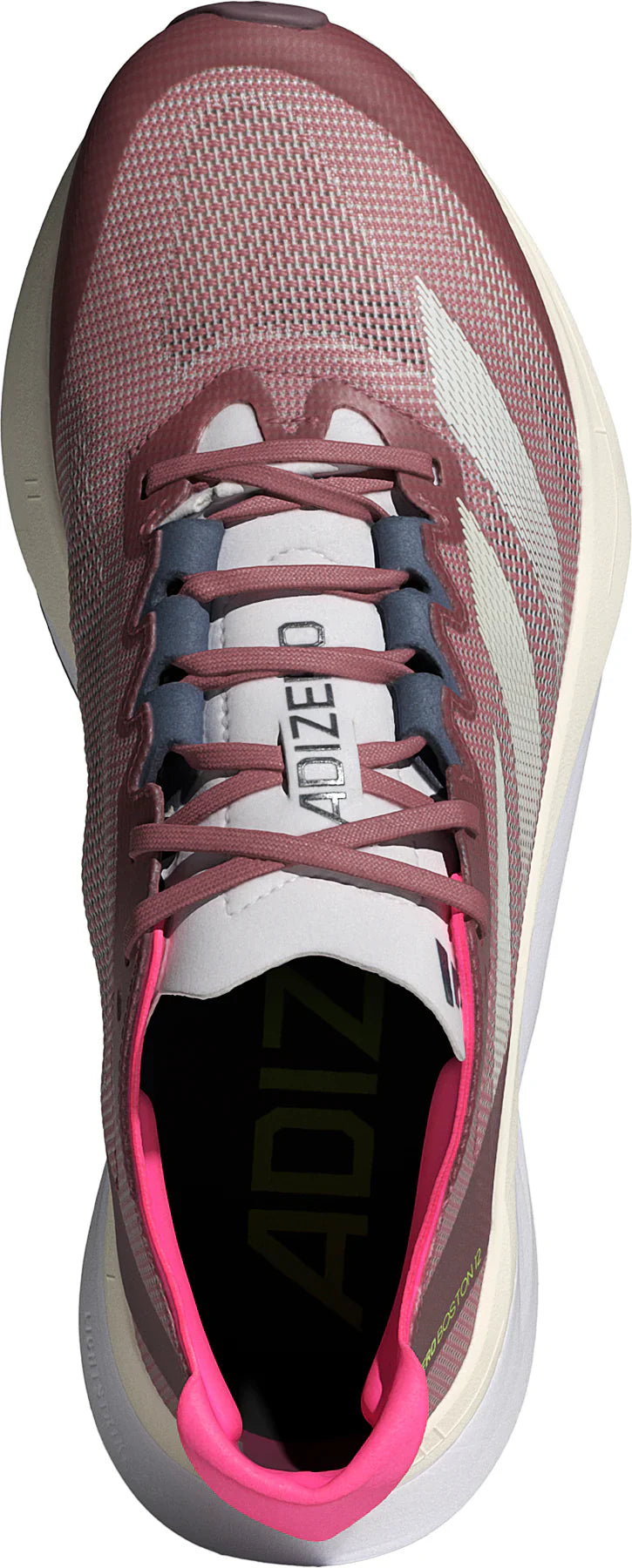 Adidas Women's Adizero Boston 12 Running Shoes - Bog Dog Running