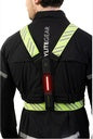 Bodylite NightViz Light Blk/Yell - Bog Dog Running