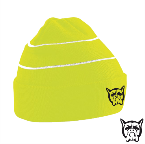 Bog Dog Enhanced - Viz Beanie Bog Dog Running