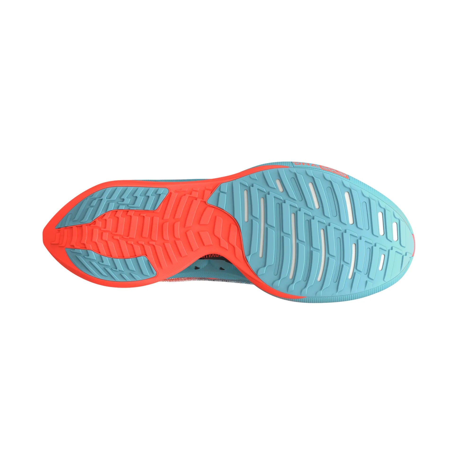 Brooks Hyperion Elite 5 Running Shoe - Bog Dog Running