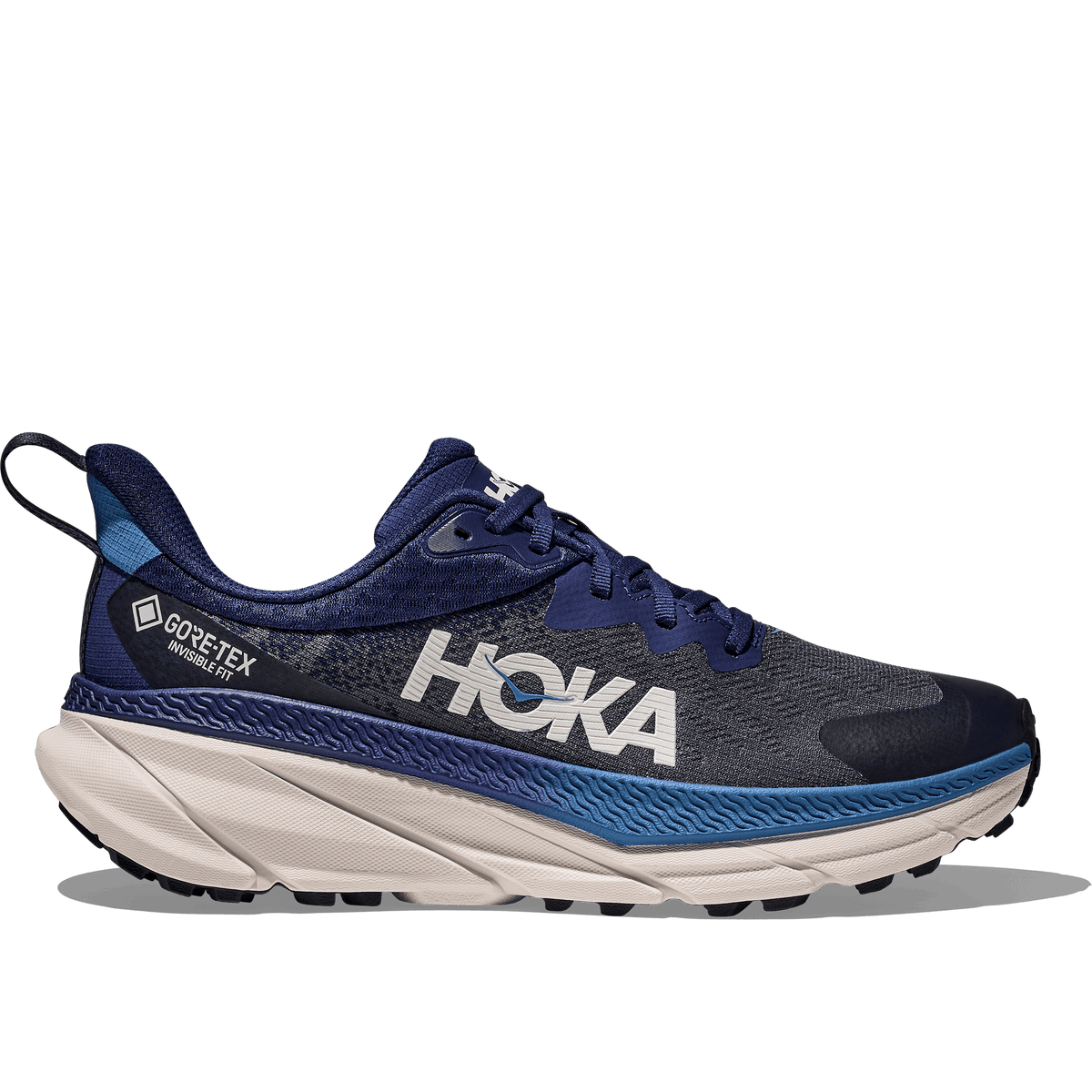 Hoka Challenger ATR 7 GTX Mens Trail Running Shoes - Bog Dog Running