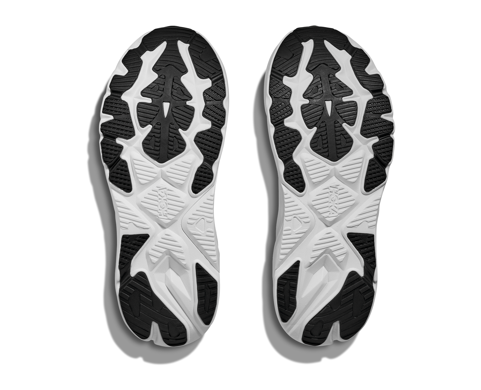 Hoka Arahi 8 Women's WIDE Running Shoe - Bog Dog Running