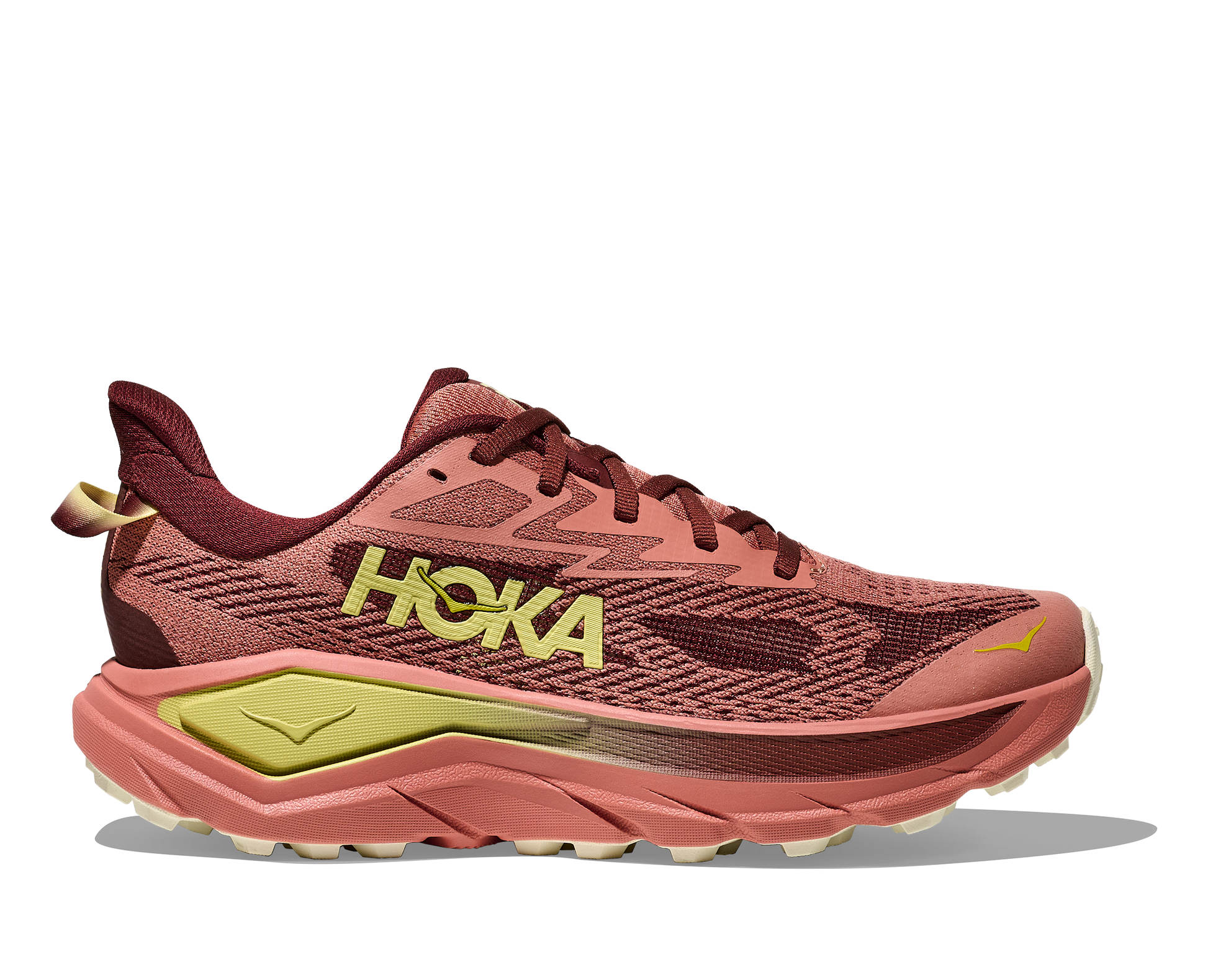 Hoka  Challenger 8 Women's Running Shoe - Bog Dog Running