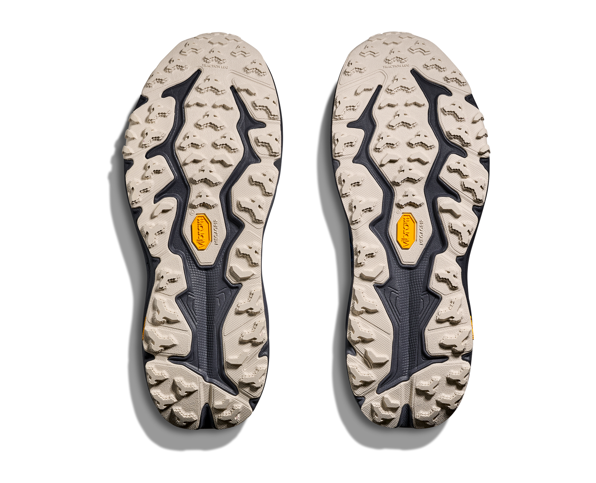 Hoka Speedgoat 6 GTX Men's Trail Running Shoe - Bog Dog Running